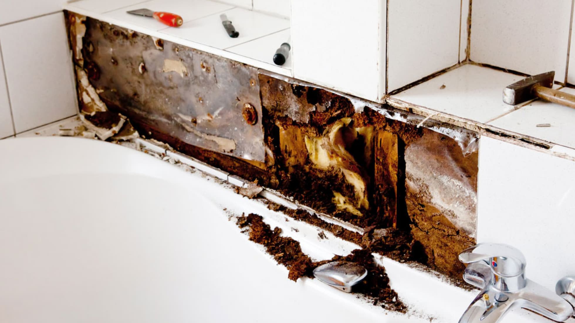 Bathroom Liner Problems